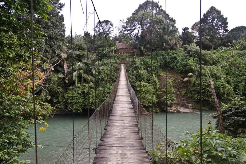 Ecoturismo a Tangkahan