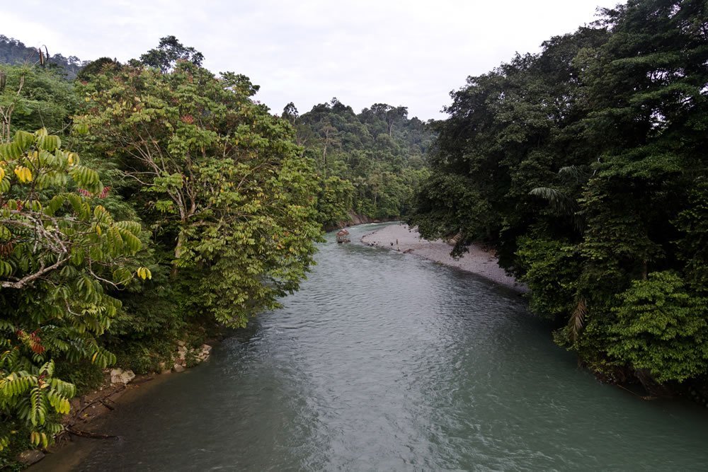 Sumatra Tangkahan Indonesia