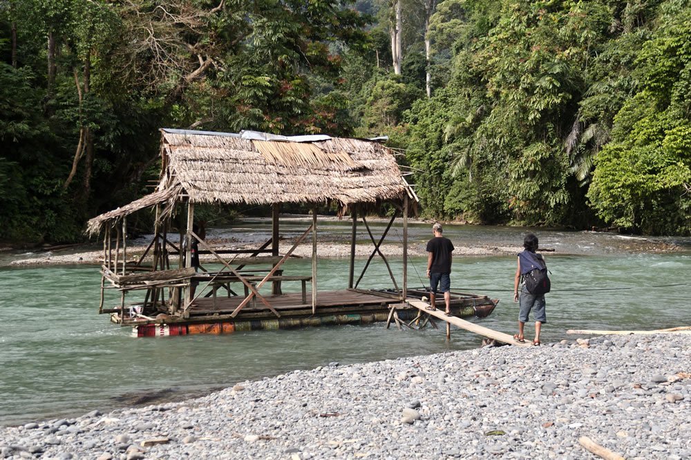 Sumatra Tangkahan Indonesia