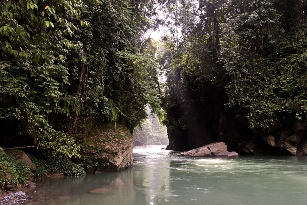 Sumatra Tangkahan Indonesia