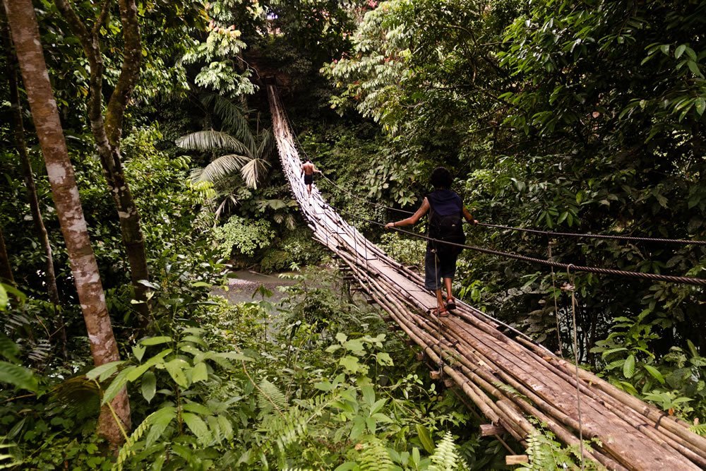 Sumatra Tangkahan Indonesia