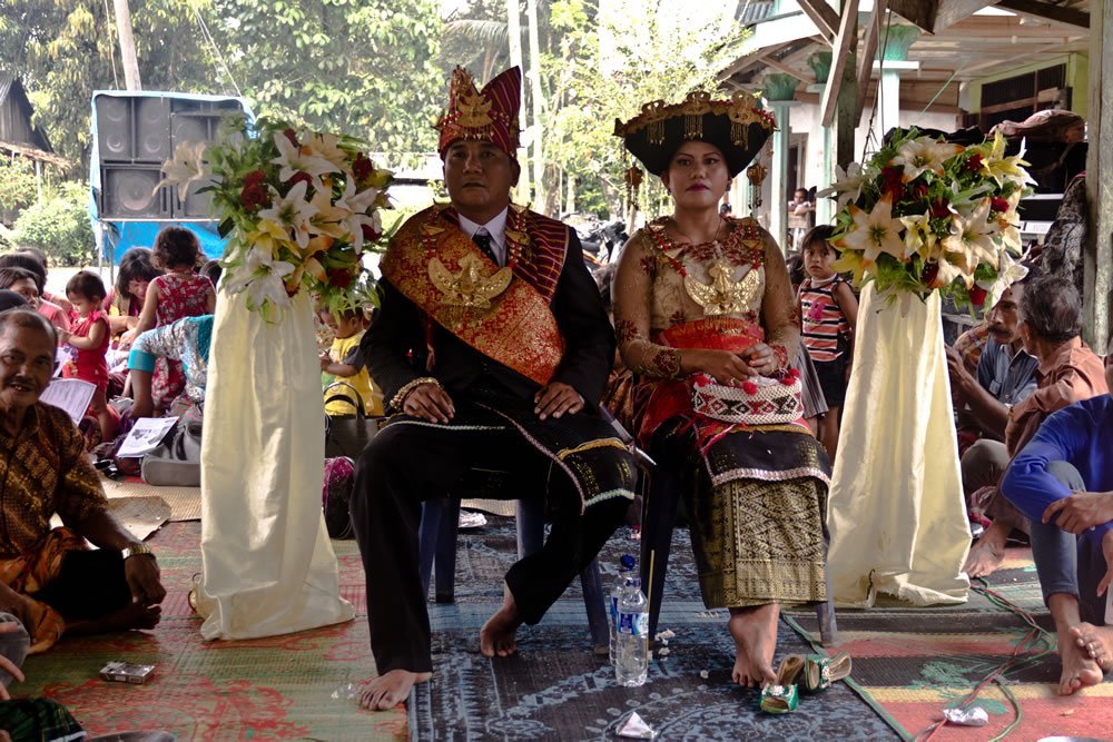 Sumatra Tangkahan Indonesia