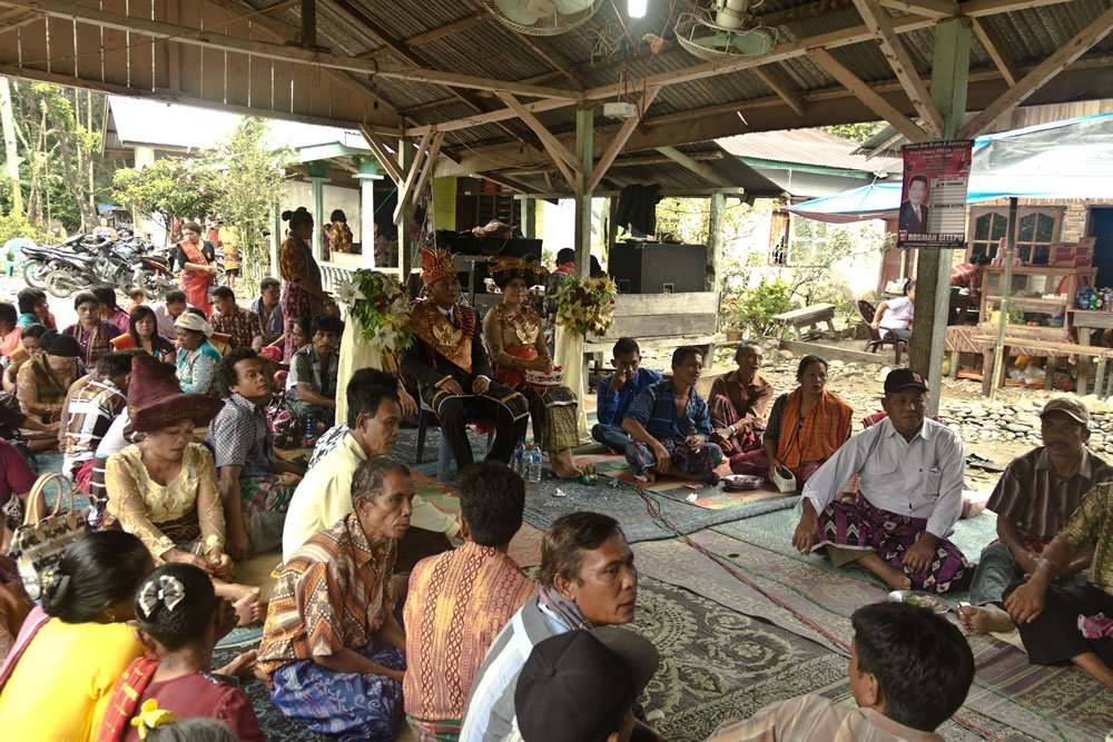 Sumatra Tangkahan Indonesia