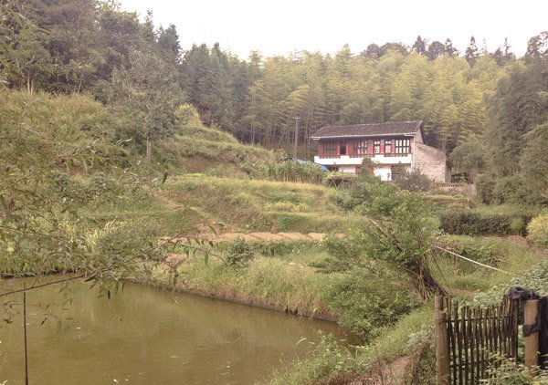 Wuyi Mountains