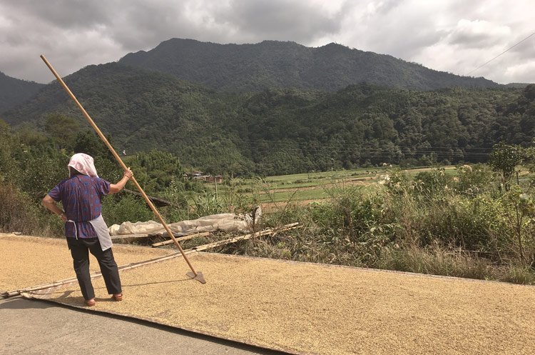 Wuyi Mountains