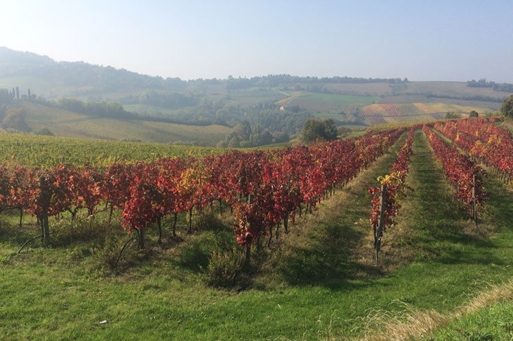 Cosa Vedere in Romagna