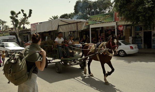 Itinerario in Medio Oriente: Tel Aviv e Palestina