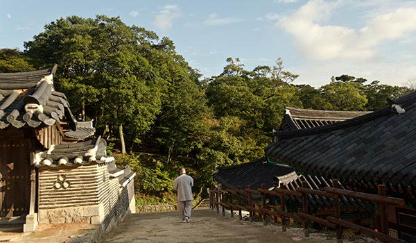 Nuit Templestay Haeinsa Temple