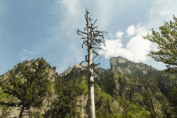 Valle Valbona Paradiso Trekking Albania