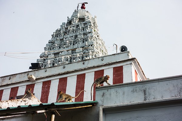 Vedagiriswarar Temple Thirukazhukundram Mamallapuram