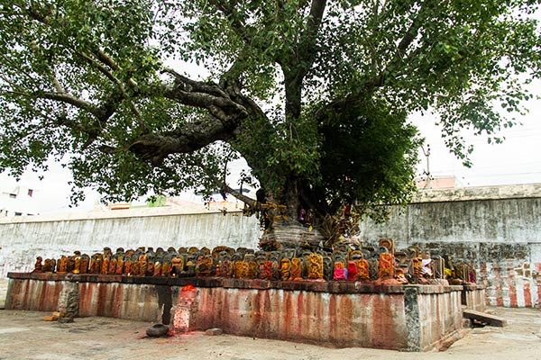 Cosa Vedere Kanchipuram Città Sacra India