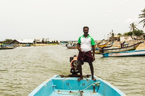 Cosa Vedere Pulicat Bird Sanctuary Chennai