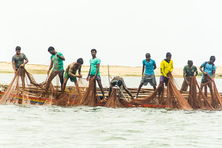 Cosa Vedere Pulicat Bird Sanctuary Chennai