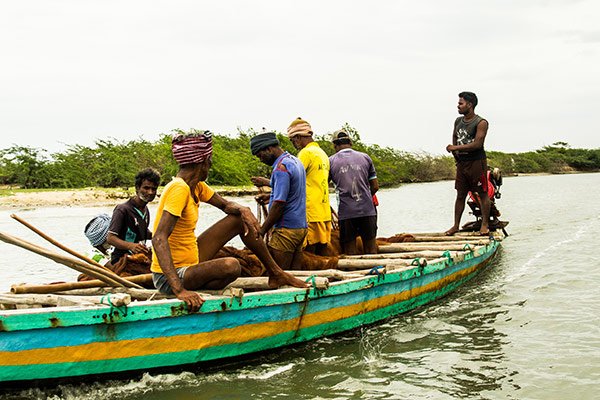 Cosa Vedere Pulicat Bird Sanctuary Chennai