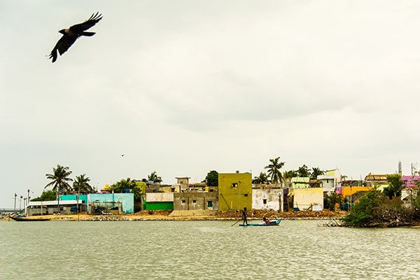 Cosa Vedere Pulicat Bird Sanctuary Chennai