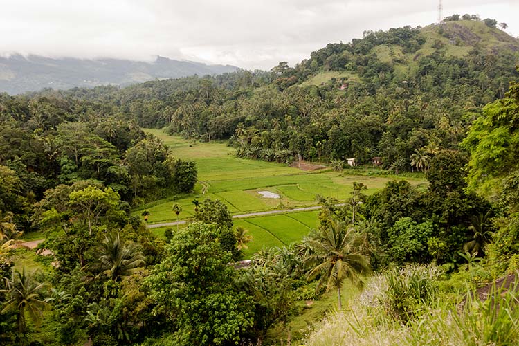 Quanto Costa Viaggiare Sri Lanka