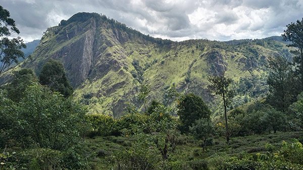 Come Organizzare Viaggio Sri Lanka Fai Da Te