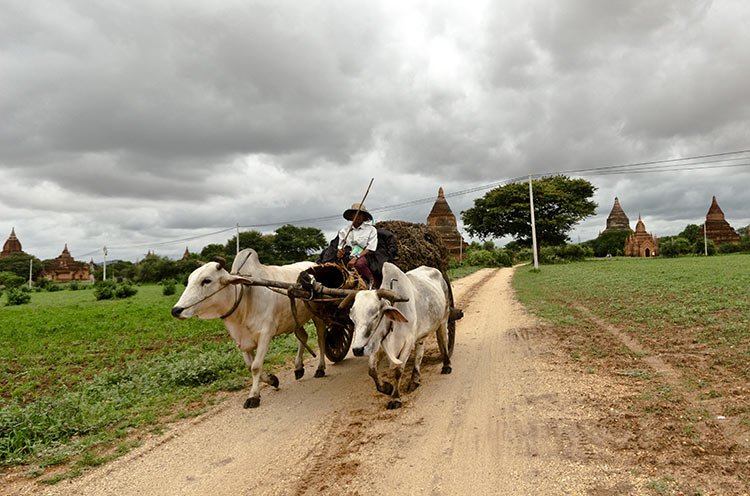 Vaccinazioni Consigliate Viaggio Sud Est Asiatico