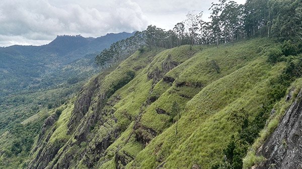 Cosa Fare Ella Sri Lanka Hill Country