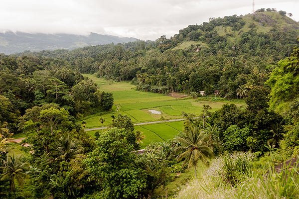 Cosa Vedere Kandy Sri Lanka Oltre Tempio Dente