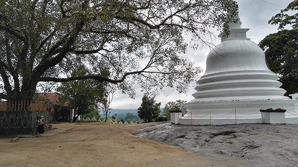 Cosa Vedere Kandy Sri Lanka Oltre Tempio Dente