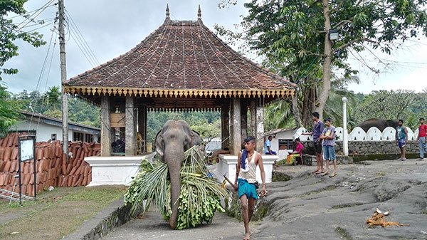 Cosa Vedere Kandy Sri Lanka Oltre Tempio Dente