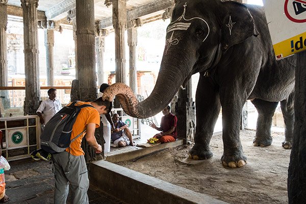 Cosa-Vedere-Tiruvannamallai-India-Annamalaiyar-Temple7