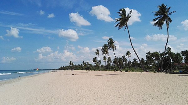 Trincomalee Sri Lanka Spiagge Deserte Balene