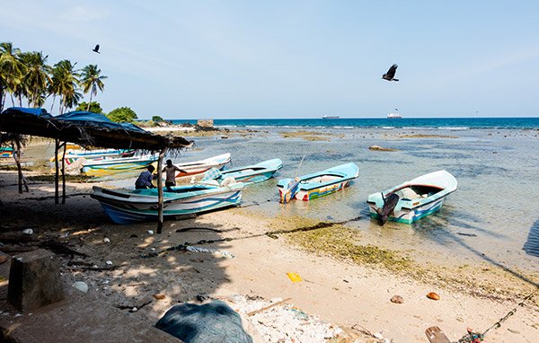 Trincomalee Sri Lanka Spiagge Deserte Balene