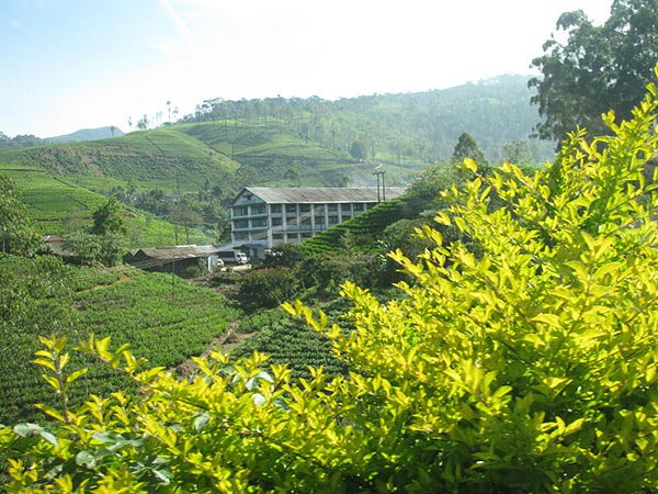 Cosa Vedere Nuwara Eliya Piccola Inghilterra Sri Lanka