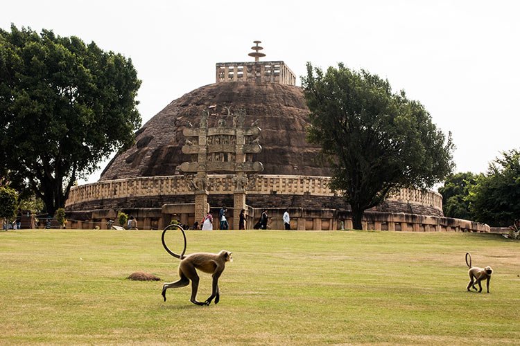 Cosa Vedere Sanchi Complesso Buddhista India