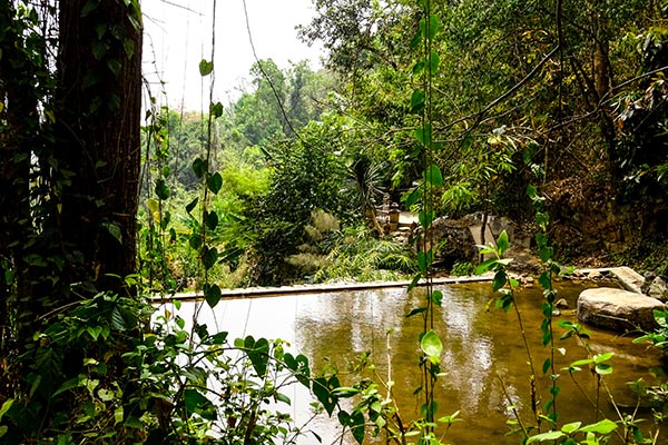 Chiang Mai Trekking Wat Pha Lat Wat Doi Suitep