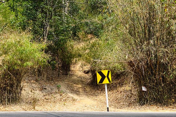 Chiang Mai Trekking Wat Pha Lat Wat Doi Suitep