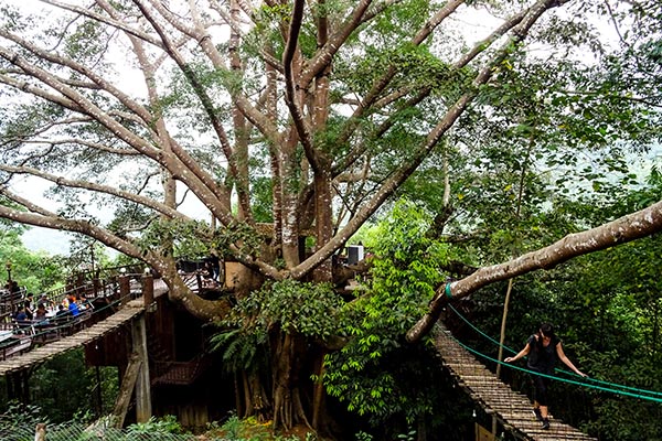 Cosa Vedere Dintorni Chiang Mai Giungla Cascate Templi