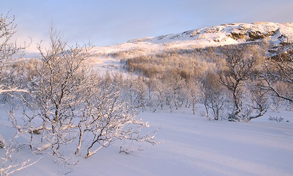 10 Luoghi Non Perdere Norvegia Mete Viaggio Perfetto