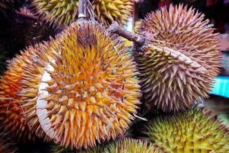 Cosa Durian Frutto Puzzolente Oriente