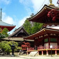 Guida Visita Monte Koyasan Giappone Cosa Vedere Fare