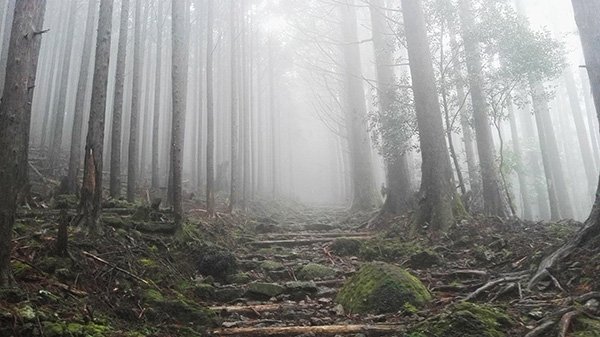 Come Organizzare Trekking Kumano Kodo Giappone