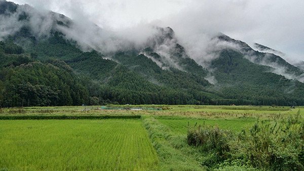 Come Organizzare Trekking Kumano Kodo Giappone