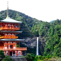Come Organizzare Trekking Kumano Kodo Giappone