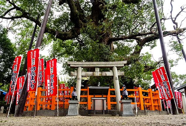 Migliori Templi Osaka Giappone Shitennoji Hozeji