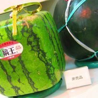 Frutta Verdura Tradizionali Cucina Giapponese Quanto Costano