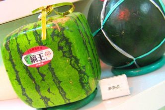 Frutta Verdura Tradizionali Cucina Giapponese Quanto Costano