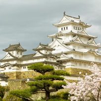 Visitare Castello Himeji Giappone Gita Osaka Kobe Kyoto