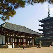 Nara Giappone Cosa Vedere Un Giorno Guida Itinerario