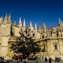 Come Visitare Gratuitamente Cattedrale Siviglia Spagna