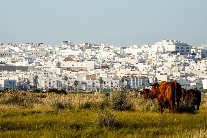 Cosa Fare Conil De La Frontera Andalusia Spiaggia Mare Vento