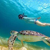 Dove Fare Snorkeling Diving Koh Samu Thailandia