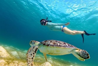 Dove Fare Snorkeling Diving Koh Samu Thailandia