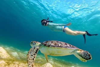 Dove Fare Snorkeling Diving Koh Samu Thailandia